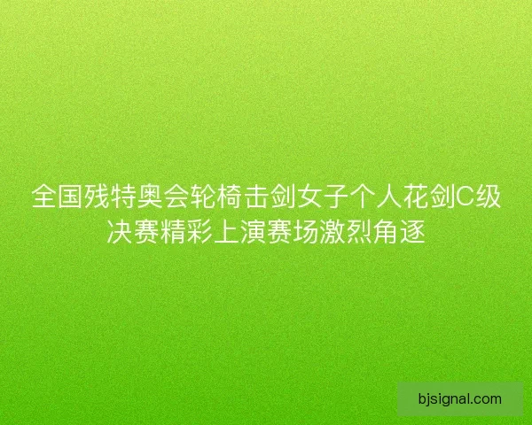 全国残特奥会轮椅击剑女子个人花剑C级决赛精彩上演赛场激烈角逐